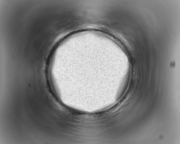 X0000101961404200808151304