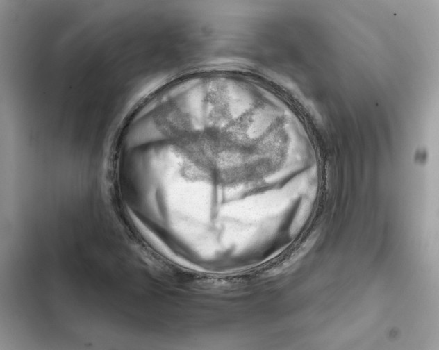 X0000101961405200808151304
