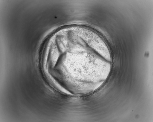 X0000101961406200808151304