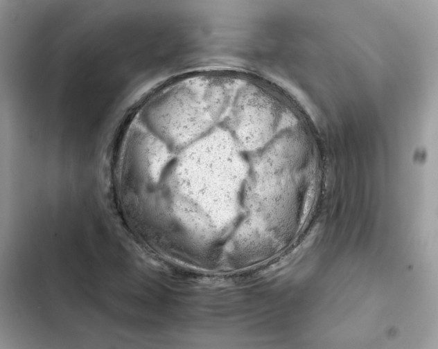X0000101961407200808151304