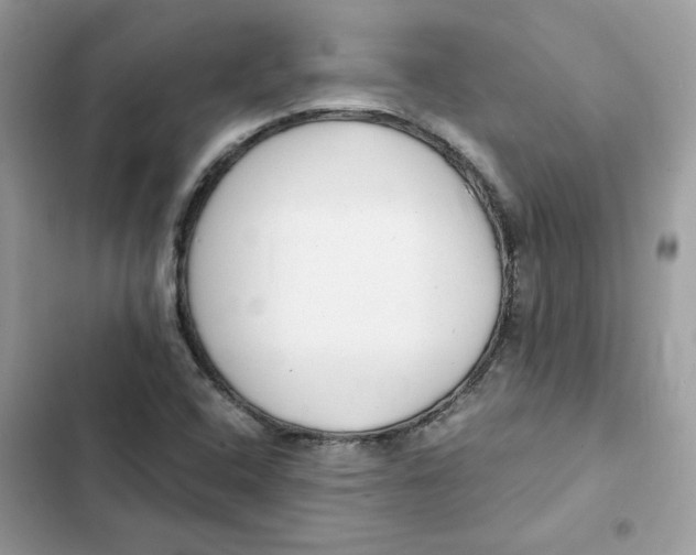X0000101961408200808151304