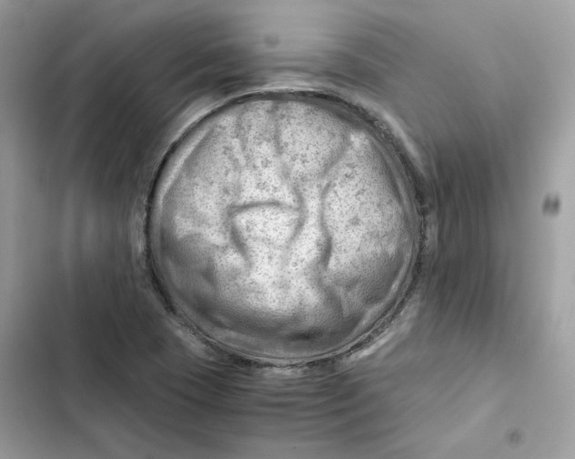 X0000101961409200808151304