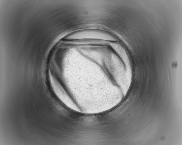 X0000101961410200808151305