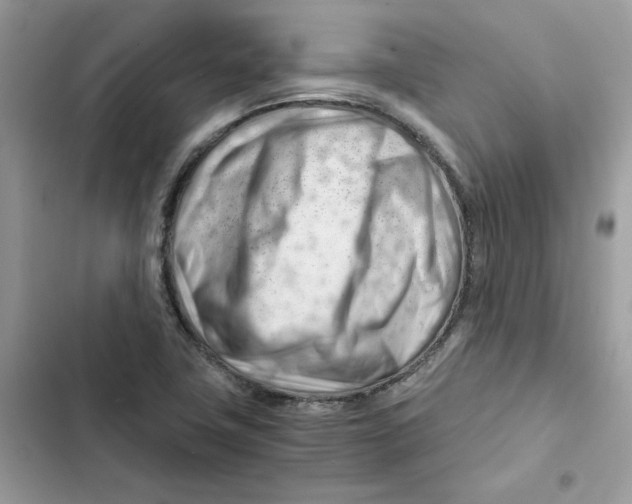 X0000101961411200808151305