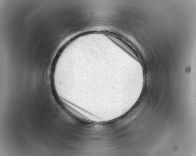X0000101961412200808151305