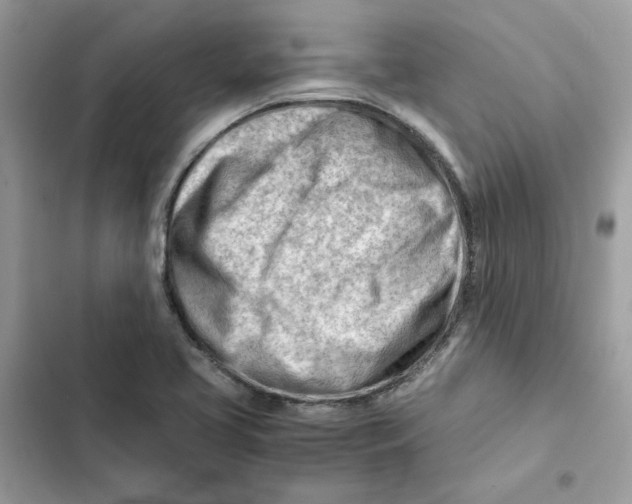 X0000101961413200808151305
