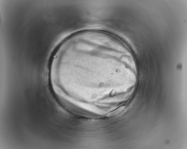 X0000101961414200808151305