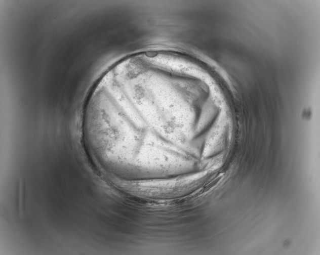 X0000101961415200808151305