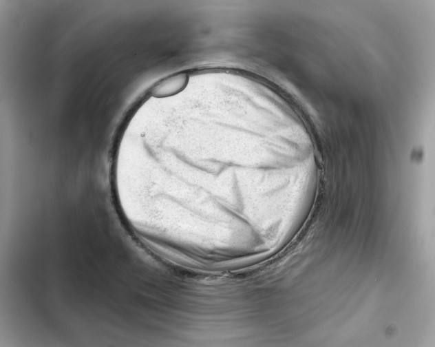 X0000101961416200808151305