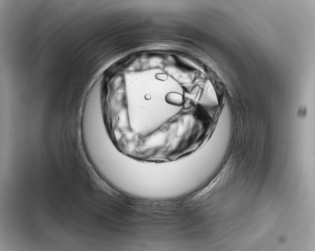 X0000101961417200808151305