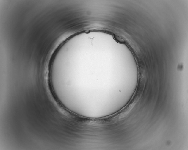 X0000101961418200808151305