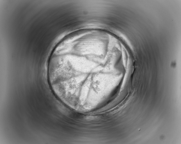 X0000101961419200808151305