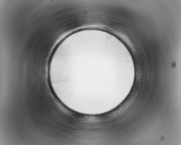 X0000101961420200808151305