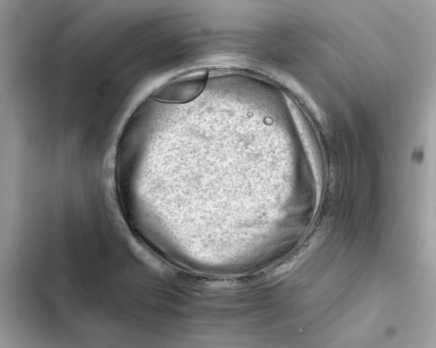 X0000101961421200808151305