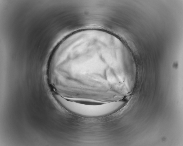 X0000101961422200808151305
