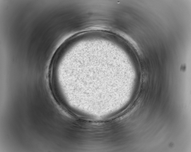 X0000101961423200808151305