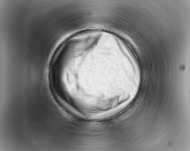 X0000101961424200808151305