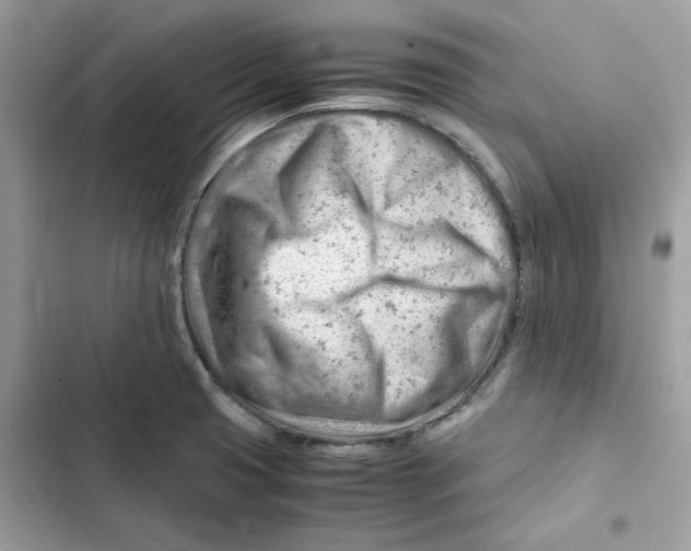 X0000101961425200808151305