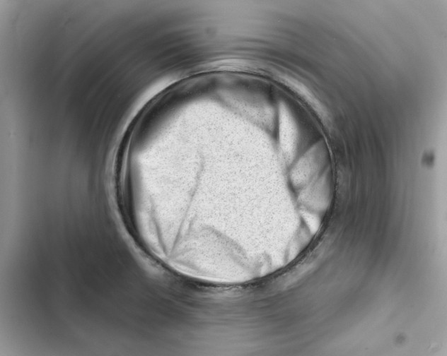 X0000101961426200808151305
