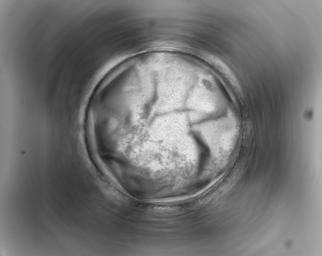 X0000101961427200808151305
