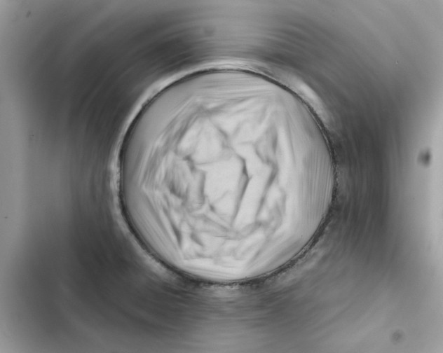 X0000101961428200808151305