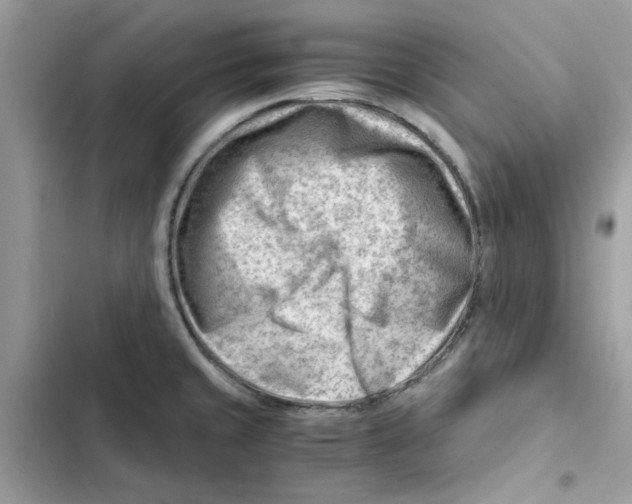 X0000101961429200808151305