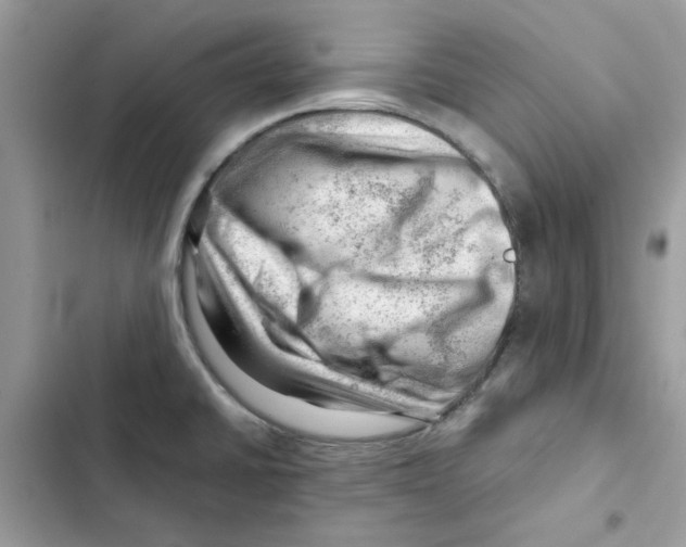 X0000101961430200808151305