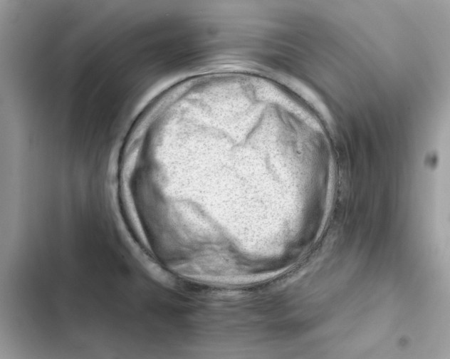 X0000101961431200808151305