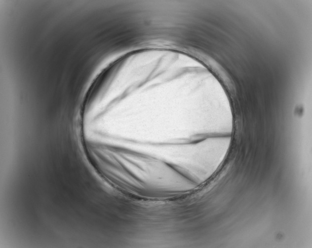 X0000101961432200808151305