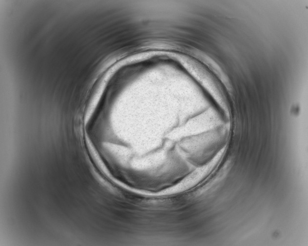 X0000101961433200808151305