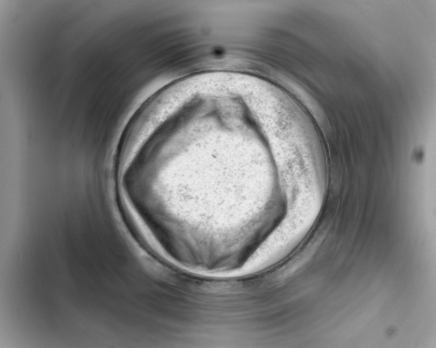 X0000101961434200808151305
