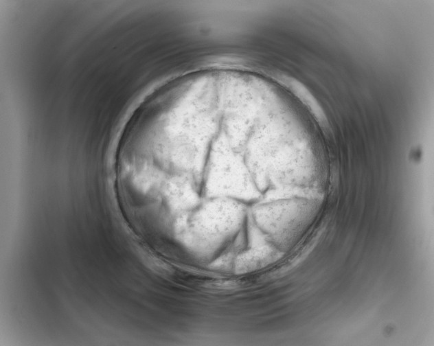 X0000101961435200808151305