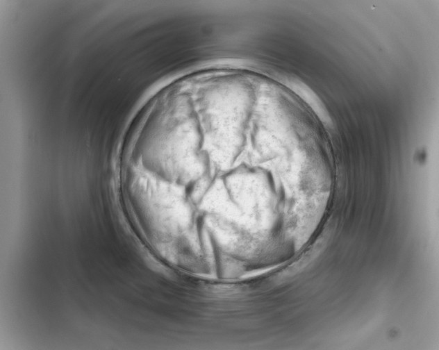 X0000101961436200808151305