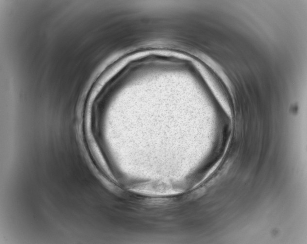 X0000101961437200808151305