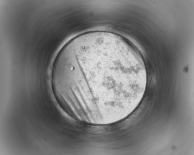 X0000101961438200808151305
