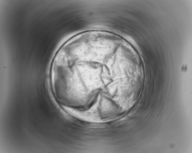 X0000101961440200808151305