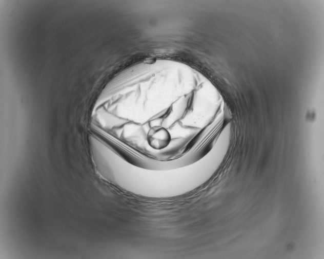 X0000101961441200808151304