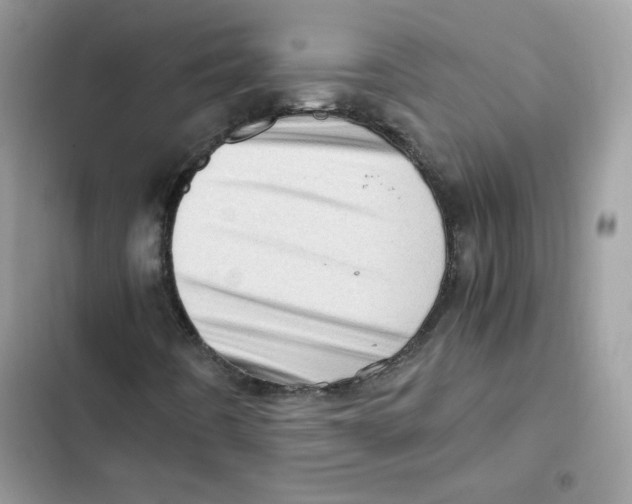 X0000101961442200808151304