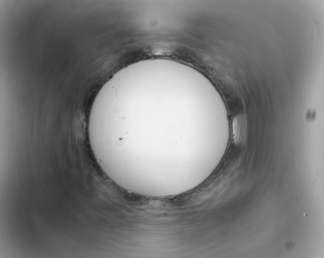 X0000101961443200808151304