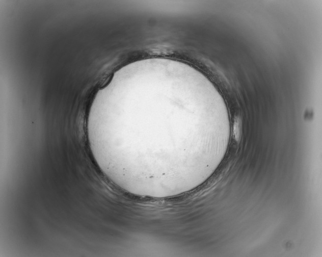 X0000101961444200808151304