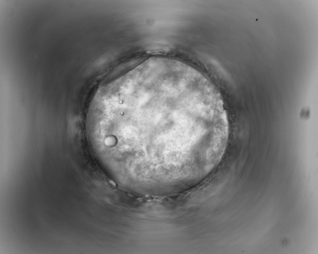 X0000101961445200808151304