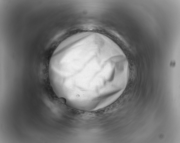 X0000101961446200808151304