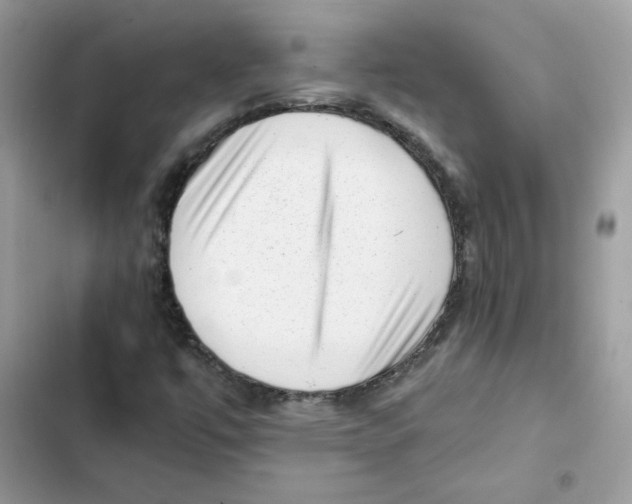 X0000101961447200808151304