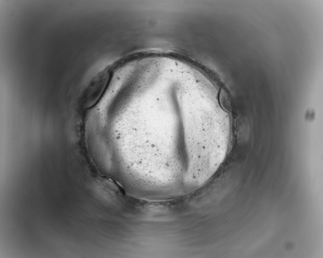 X0000101961448200808151304