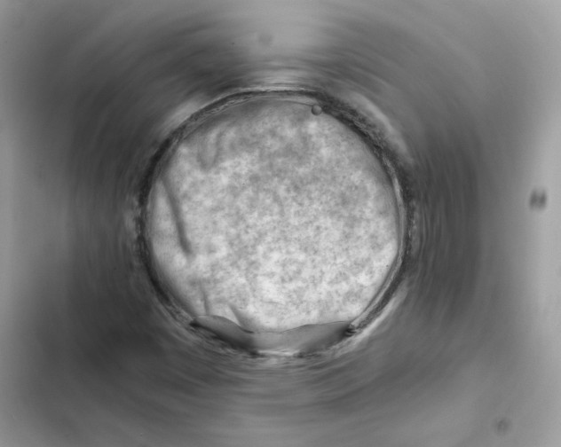 X0000101961449200808151304