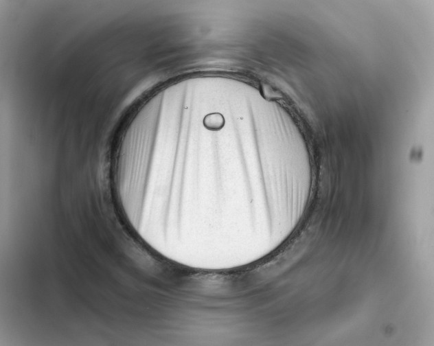 X0000101961450200808151304