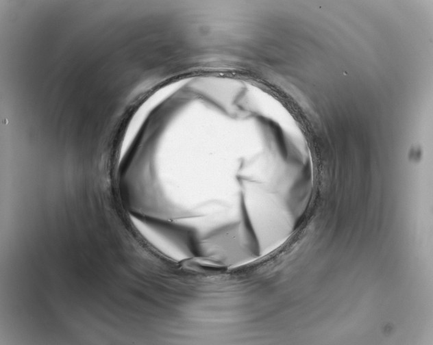 X0000101961451200808151304