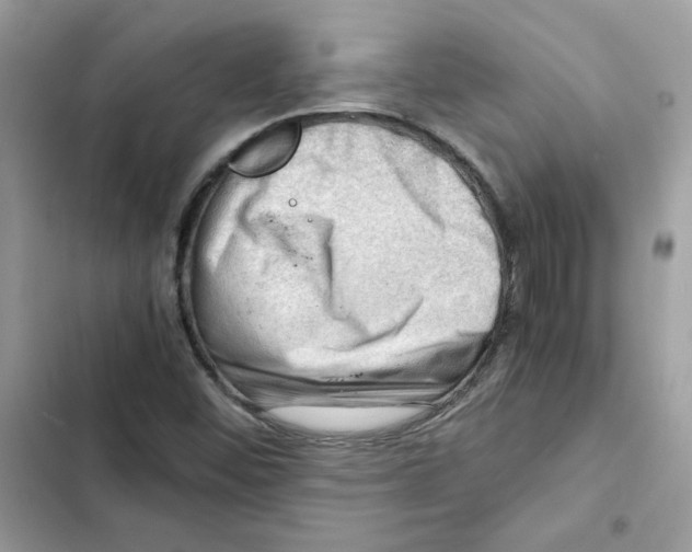 X0000101961452200808151304