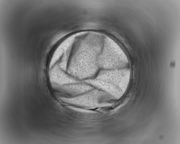 X0000101961453200808151304