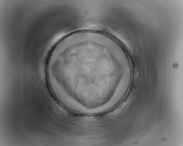X0000101961455200808151304